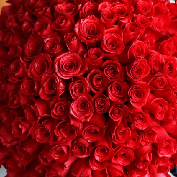 100 Red Rose Bouquet