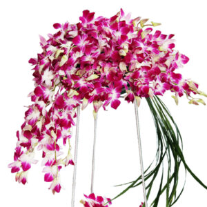 Orchids on a Stand