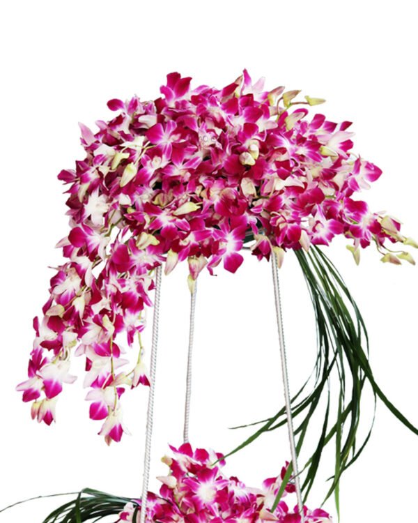 Orchids on a Stand