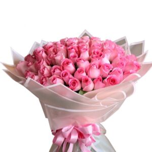 Premium Pink Roses