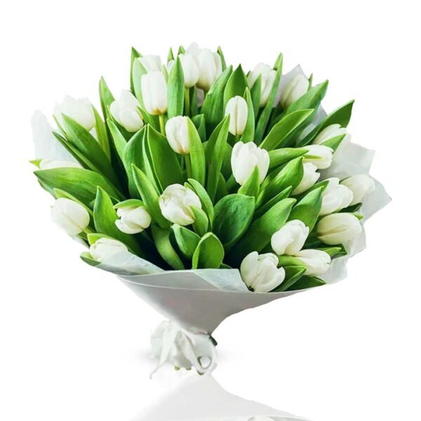 Stunning White Tulip Flowers