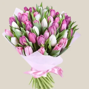 Pink White Tulips Bunch Standard