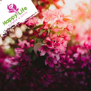 Luxury Flower Bouquets Abu Dhabi