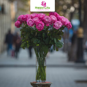 best flowers in abu dhabi