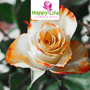 Bouquets with Fast Delivery in Abu Dhabi