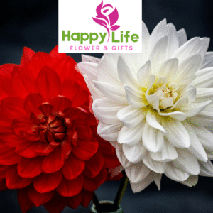 Unique Flower Bouquets for Every Event