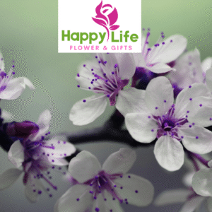 Affordable Bouquets in Abu Dhabi