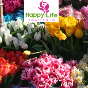 Flower Shops in Al Shahamah