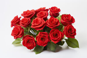 Popular Flowers in Abu Dhabi