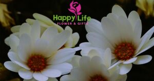 attractive Flower Bouquets