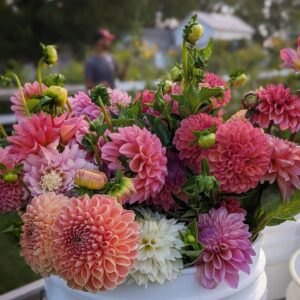 florist abu dhabi