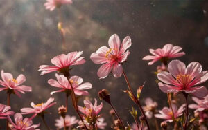 Close-up of beautiful pink flowers blooming in sunlight, capturing the delicate petals and serene atmosphere of a spring garden. Perfect Gifting in Abu Dhabi