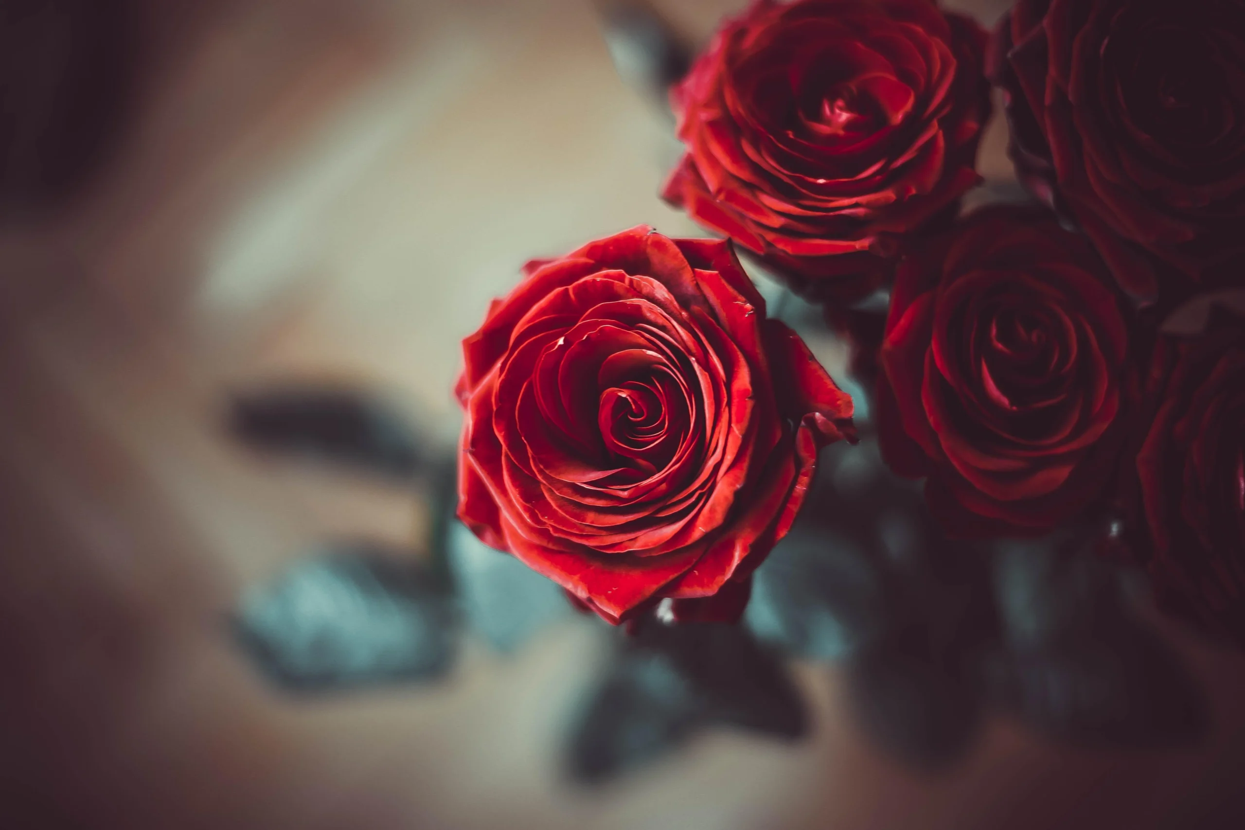 Romantic red roses bouquet in Abu Dhabi