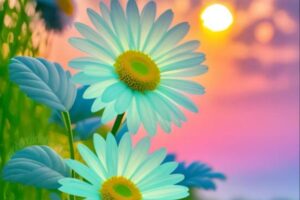 Affordable Luxury Bouquets