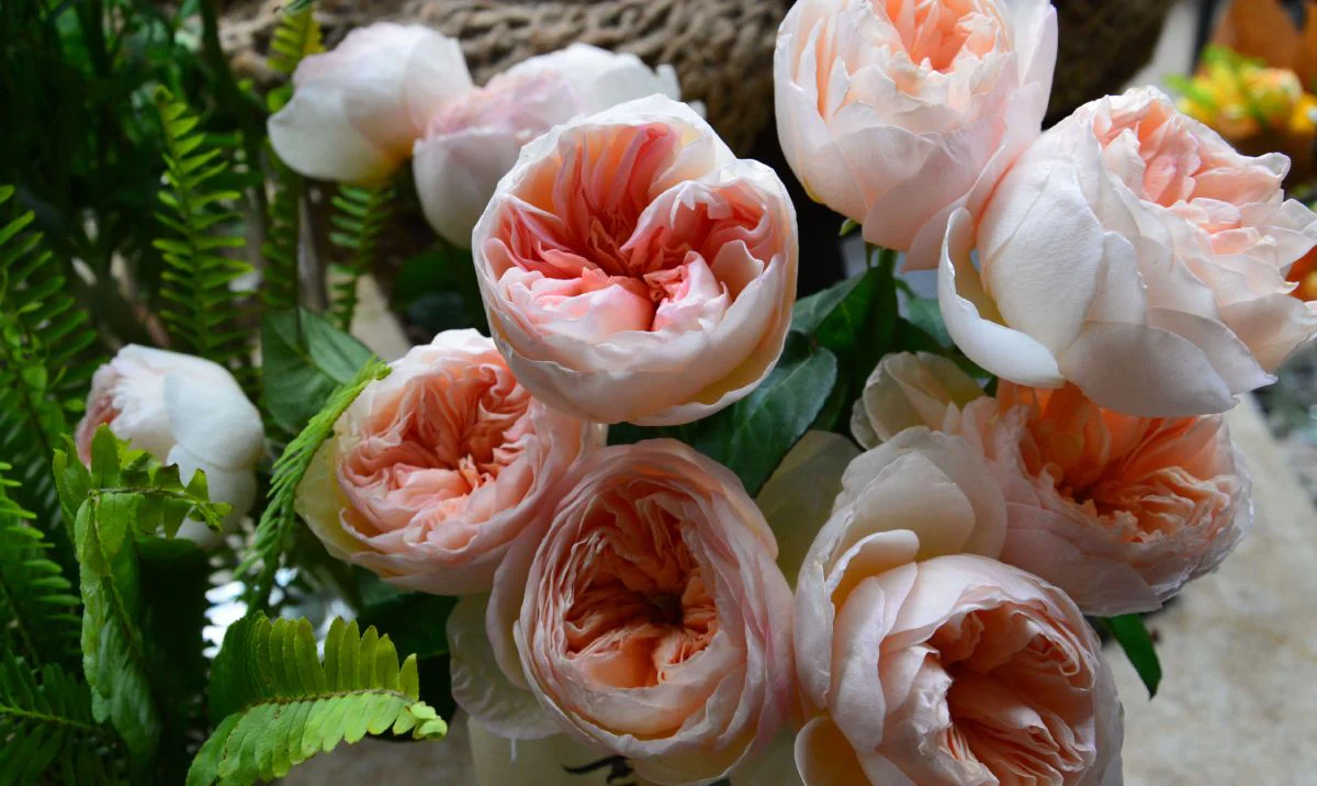 abu dhabi florist delivery
