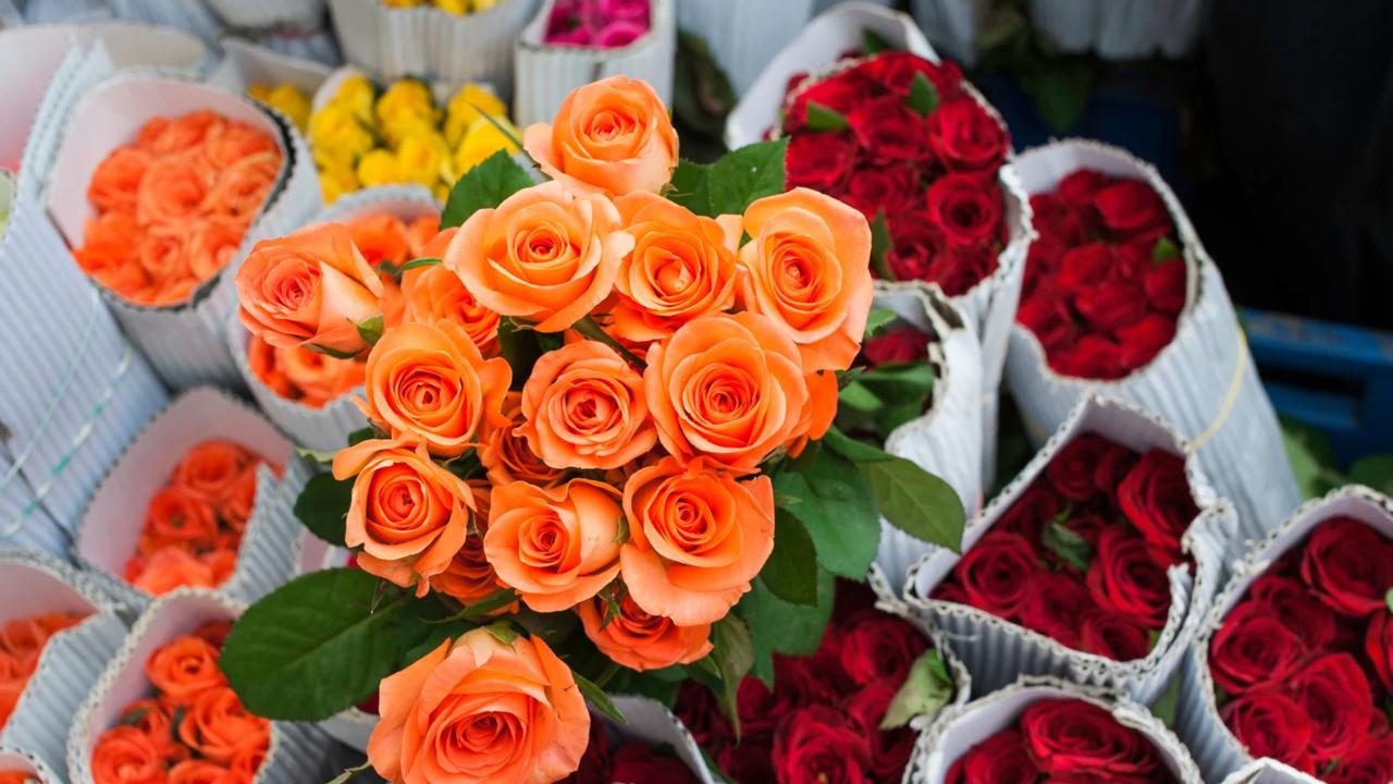 Cheap flower shop Abu Dhabi Wholesale