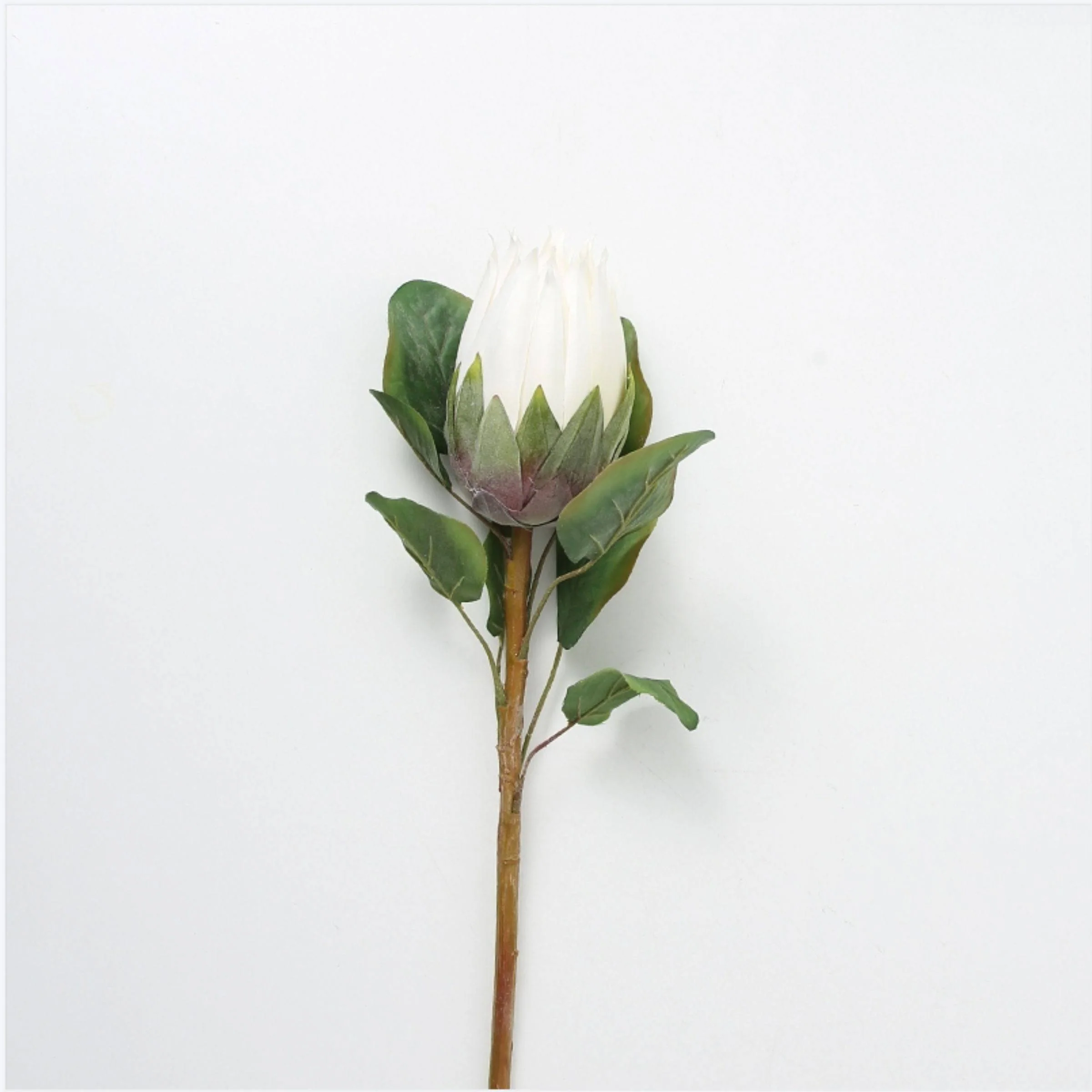 affordable flower shop abu dhabi