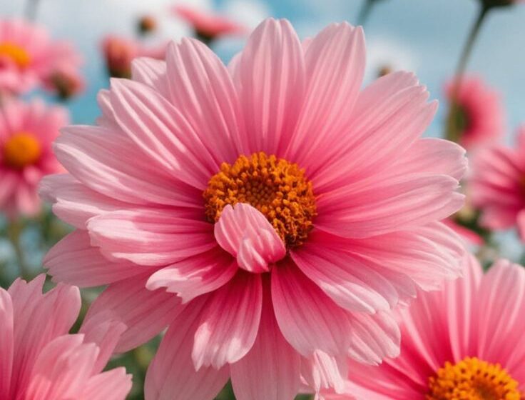 Bestselling Flower Bouquets