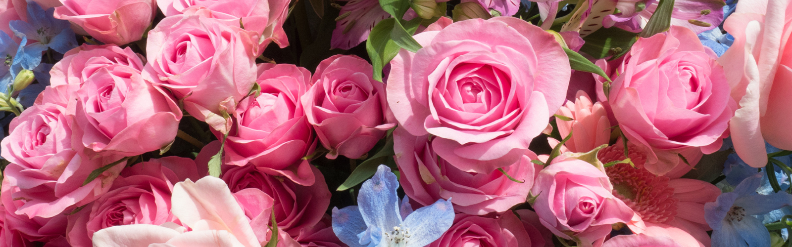 Vibrant bouquet of mixed flowers including pink roses, lilies, gerberas, and blue delphiniums, creating a colorful and cheerful floral arrangement.