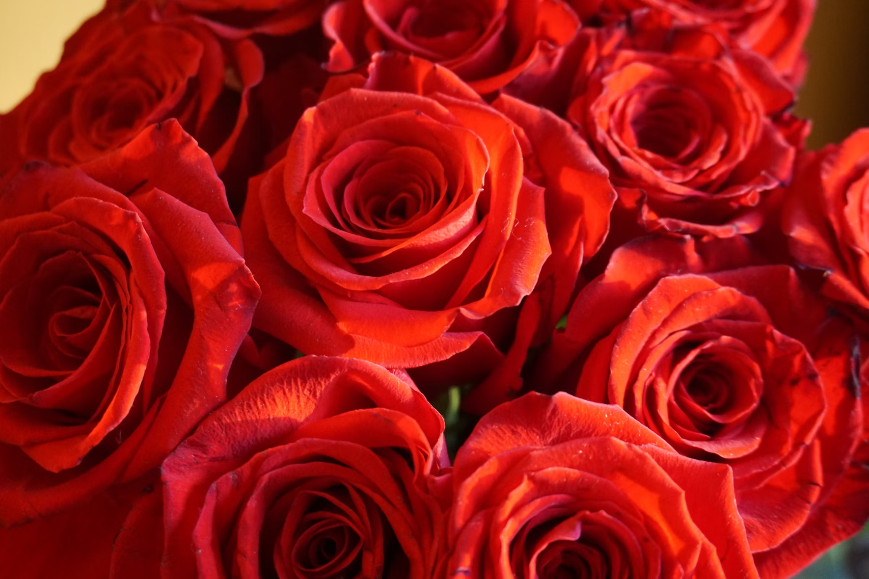 Quality Flowers