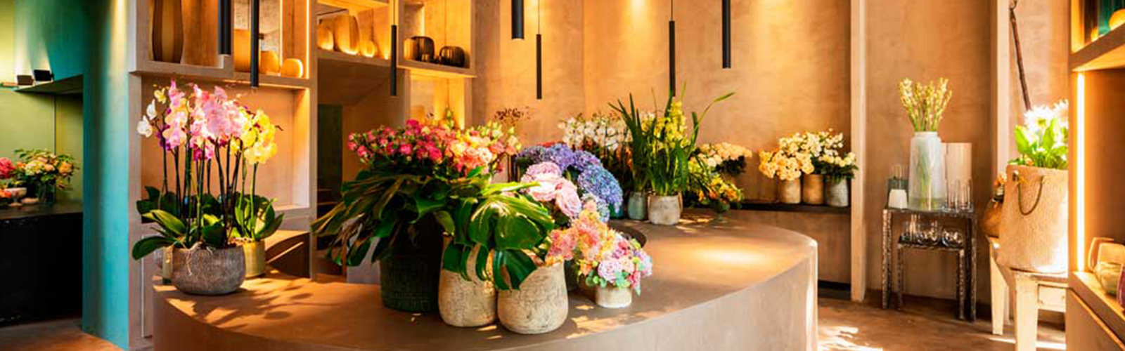 flower shop with flowers in the morning sun light.