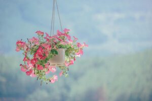 Mood-Boosting Flower Bouquets