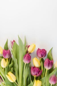 Luxurious Bouquets in Abu Dhabi