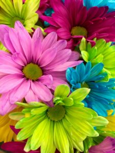 Luxurious Bouquets in Abu Dhabi